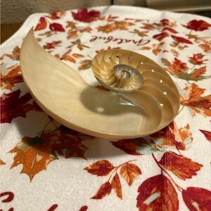 Vintage White Polished Pearlized Nautilus Center Sliced Shell